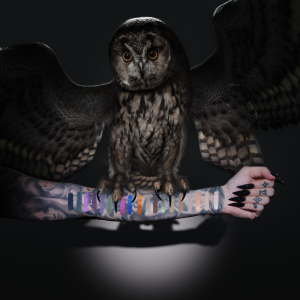 Alternative view of Night Owl Artistry Palette
