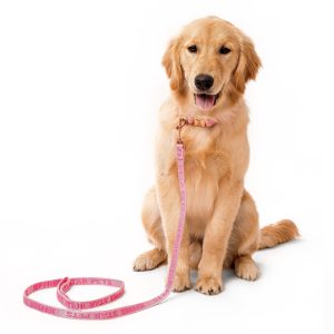 Alternative view of Woven Pink Leash