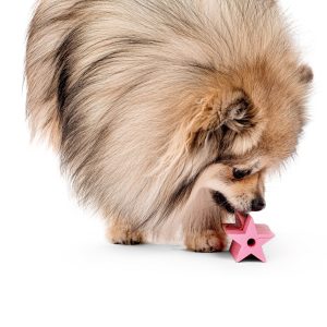 Alternative view of Rubber Star Toy